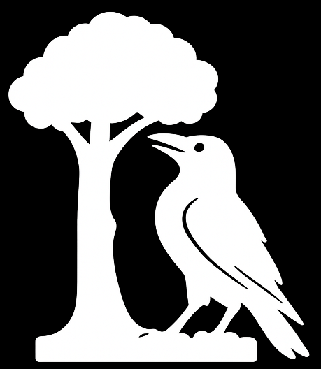 Lloveras AI Solutions equipo