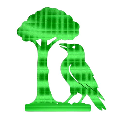 Lloveras AI Solutions